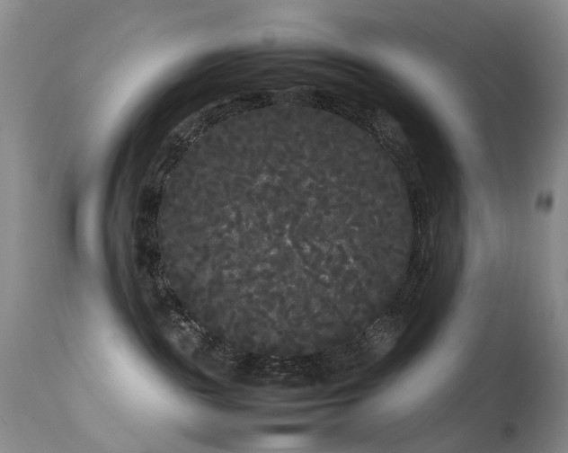 X0000113620189200909251215