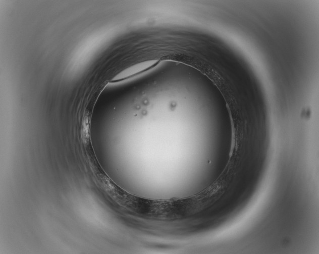 X0000113620190200909251215