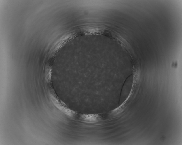 X0000113620191200909251215