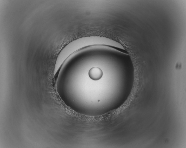 X0000113620192200909251215