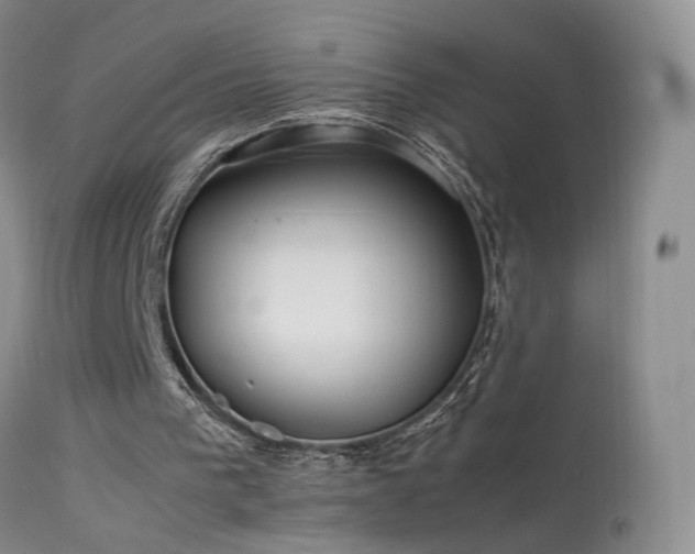 X0000113620193200909251214