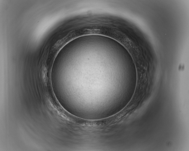 X0000113620194200909251214