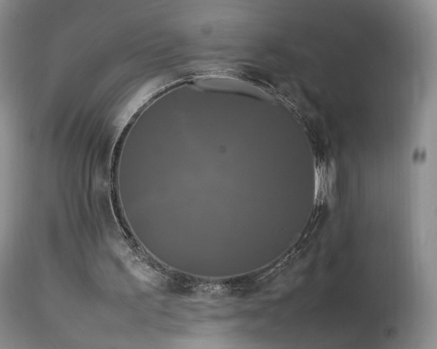 X0000113620195200909251214