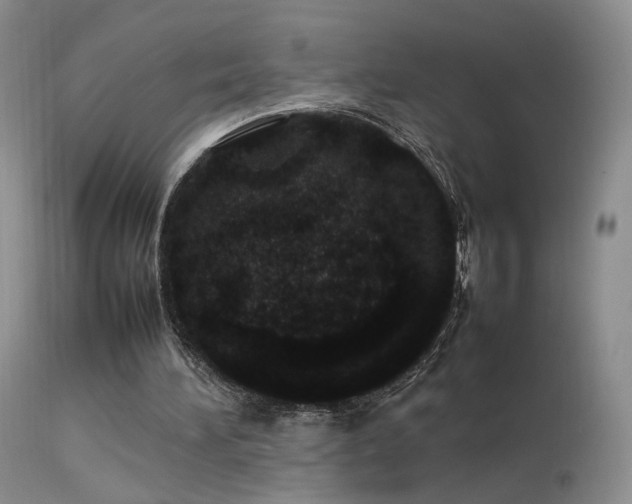 X0000113620196200909251214