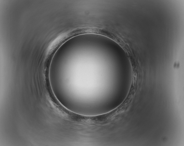 X0000113620197200909251214