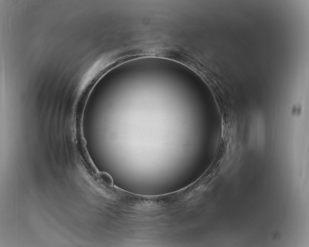 X0000113620198200909251214