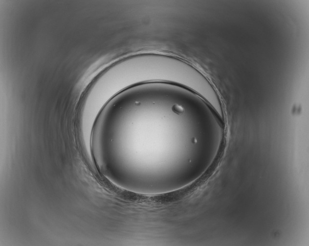 X0000113620199200909251214