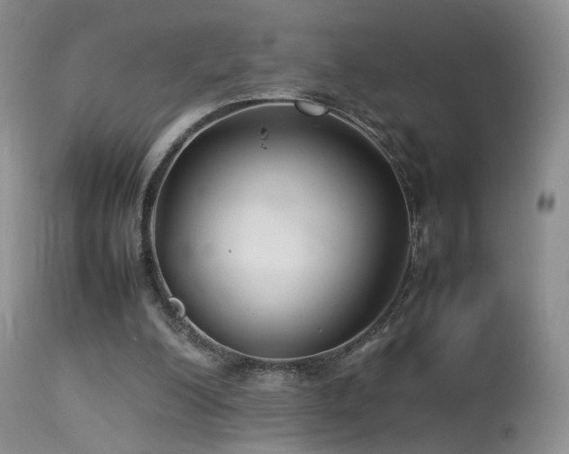 X0000113620200200909251214