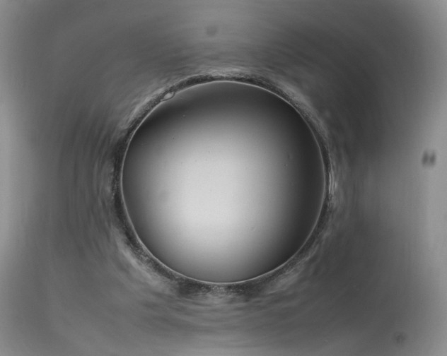 X0000113620201200909251214