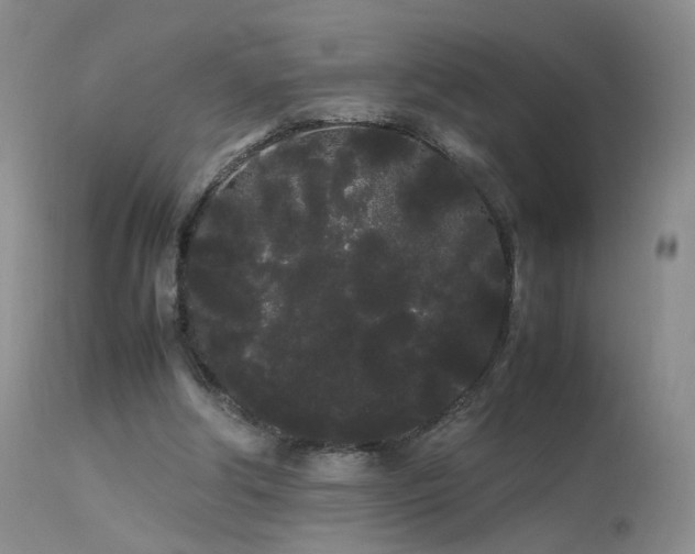 X0000113620202200909251214