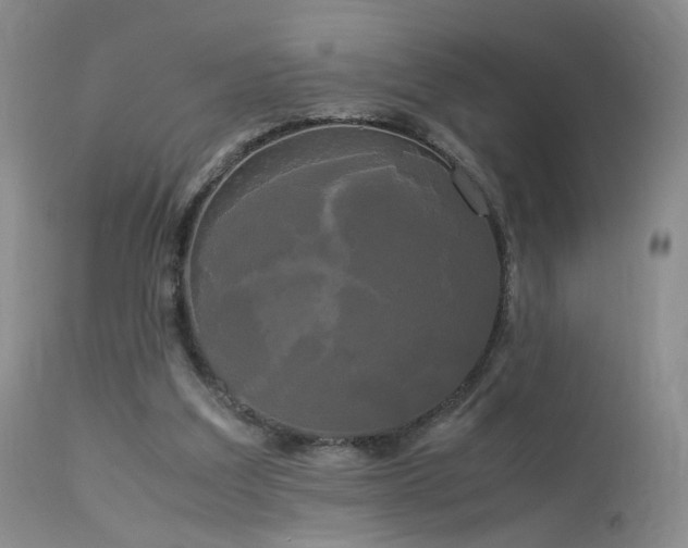 X0000113620203200909251214