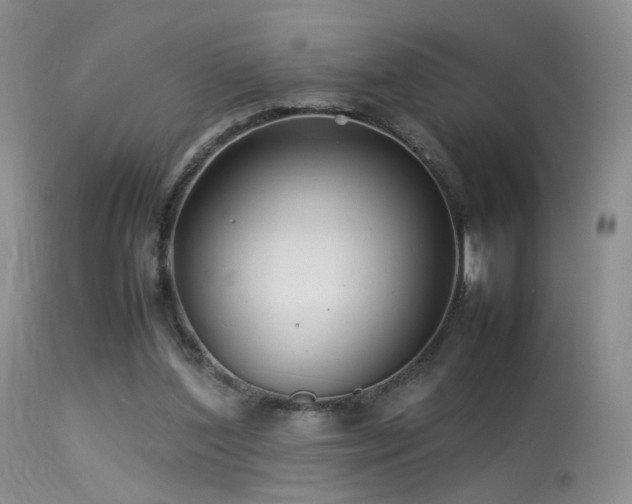 X0000113620204200909251214