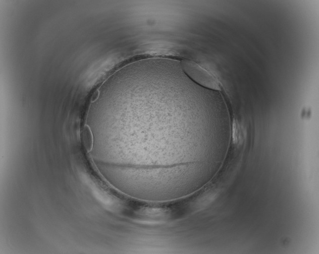 X0000113620205200909251214