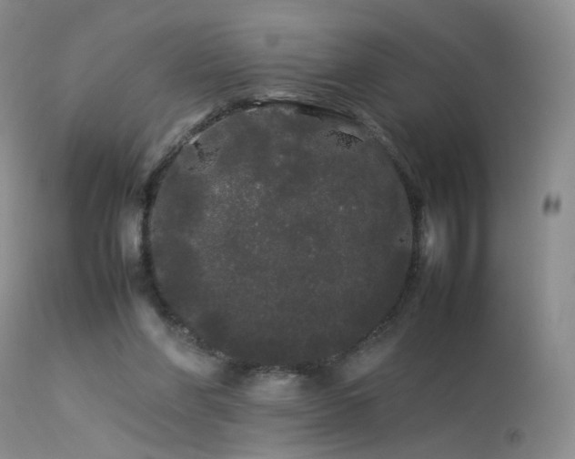 X0000113620206200909251214