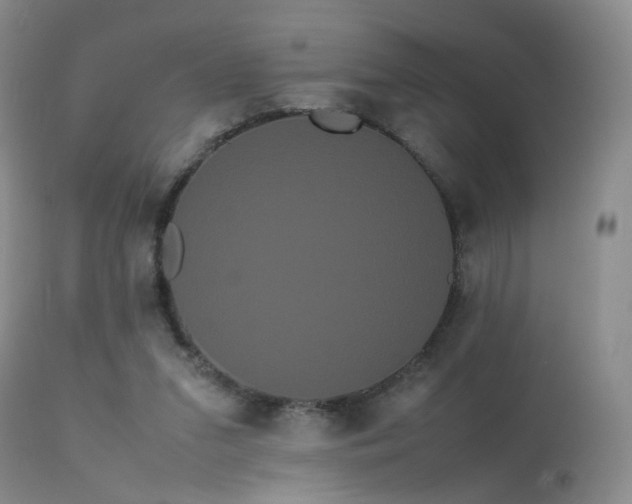 X0000113620207200909251214