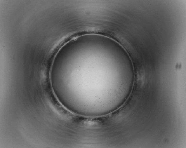 X0000113620208200909251214