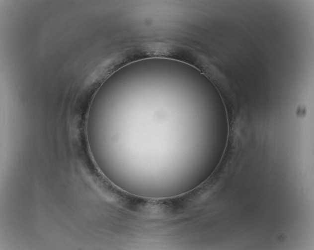 X0000113620209200909251214