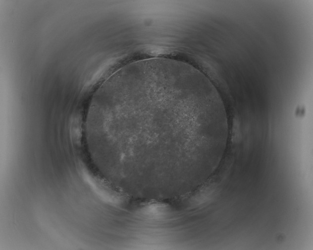 X0000113620210200909251214