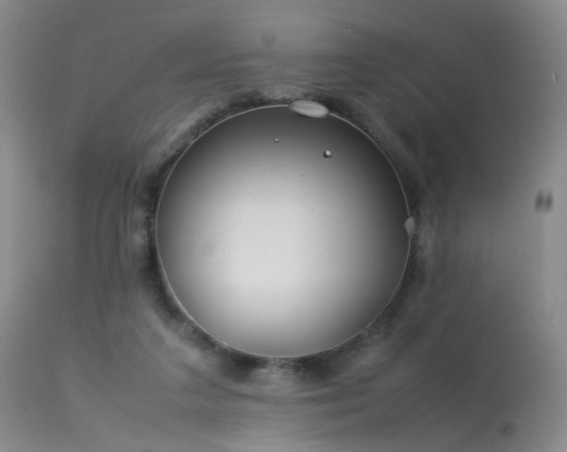 X0000113620211200909251214