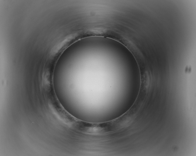 X0000113620212200909251214