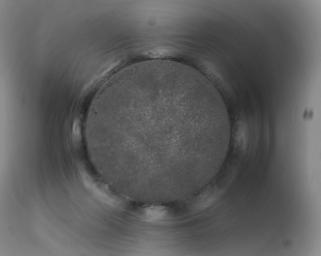 X0000113620214200909251214