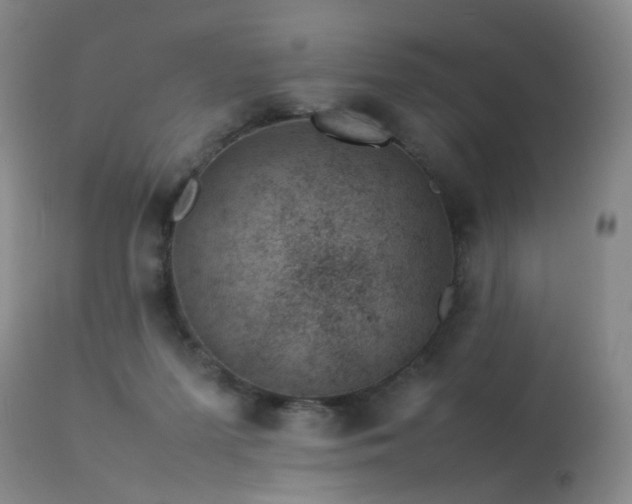 X0000113620215200909251214