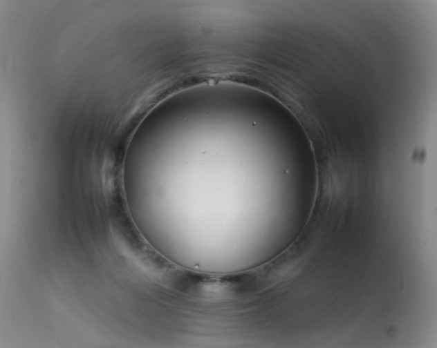 X0000113620216200909251214