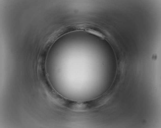 X0000113620217200909251214