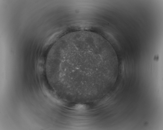 X0000113620218200909251214