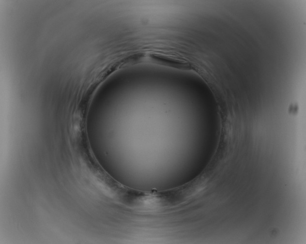 X0000113620219200909251214