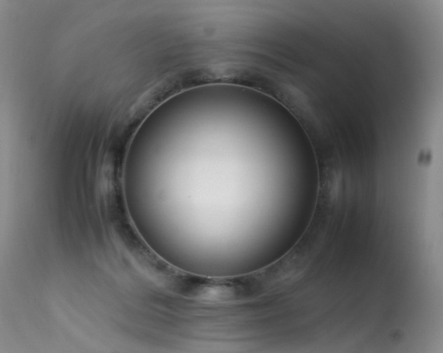 X0000113620220200909251213