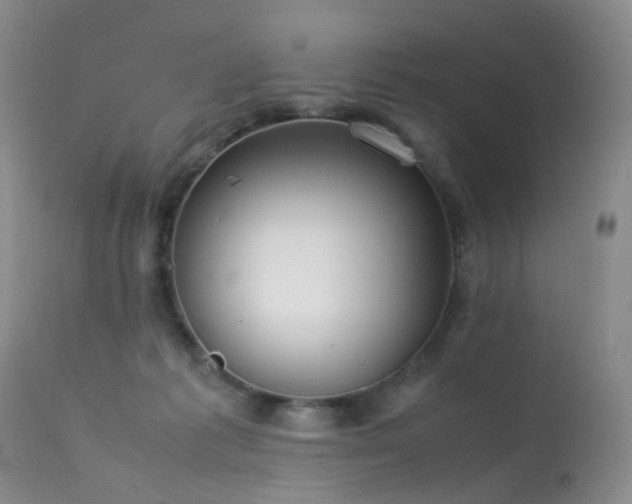 X0000113620221200909251213