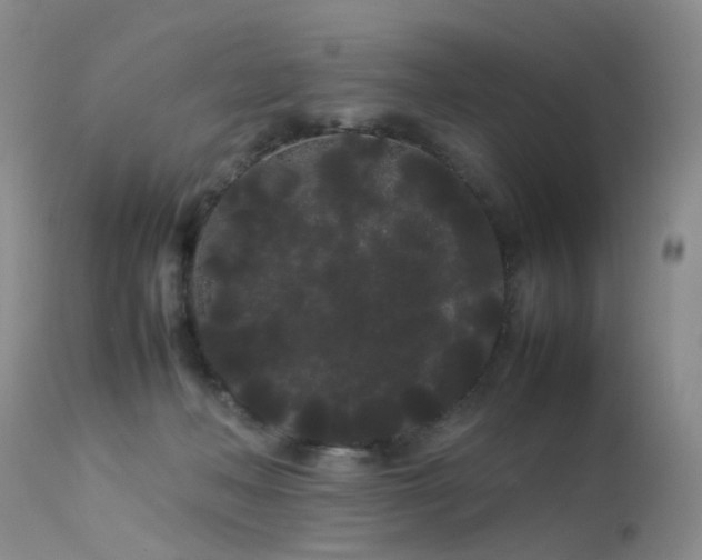 X0000113620222200909251213