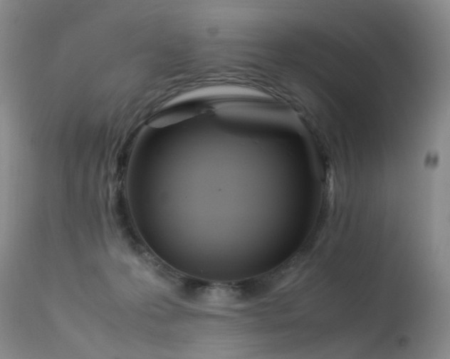 X0000113620223200909251213