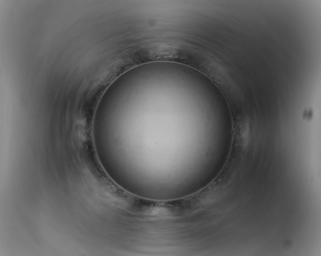 X0000113620224200909251213