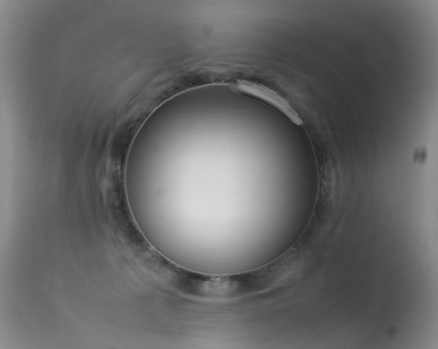 X0000113620225200909251213