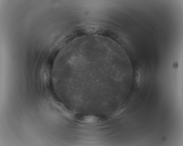 X0000113620226200909251213