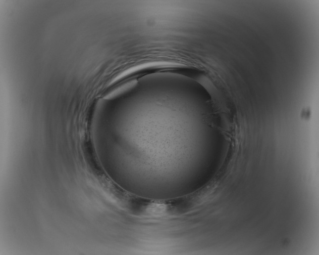 X0000113620227200909251213