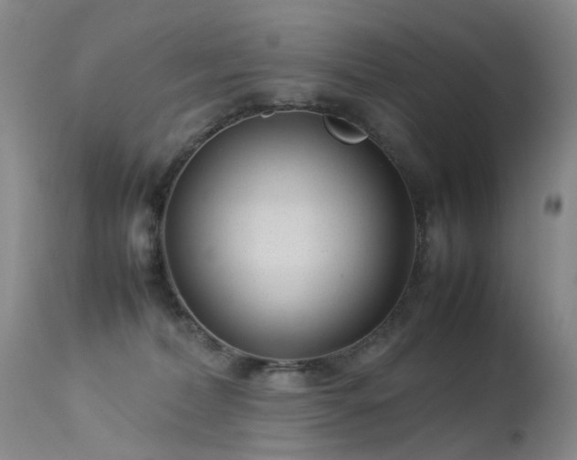 X0000113620228200909251213