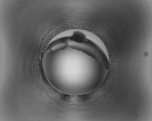 X0000113620229200909251213