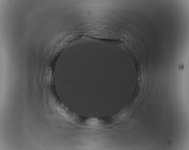 X0000113620231200909251213