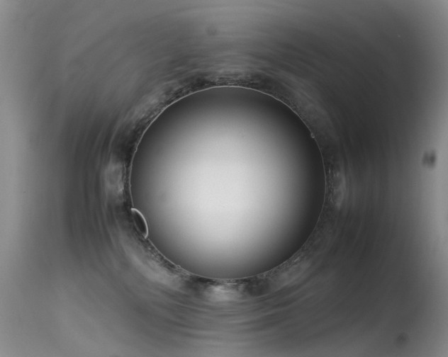 X0000113620232200909251213