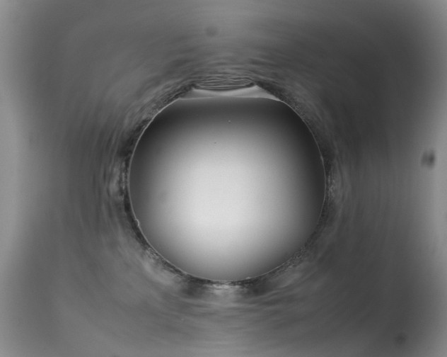 X0000113620233200909251213