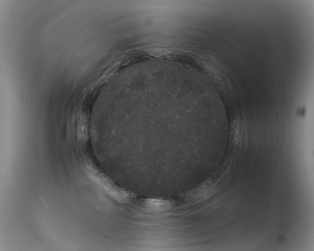 X0000113620234200909251213