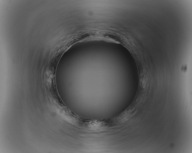 X0000113620235200909251213