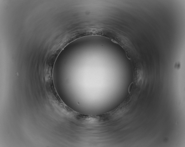 X0000113620236200909251213