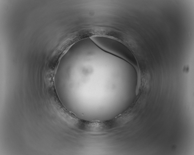 X0000113620237200909251213