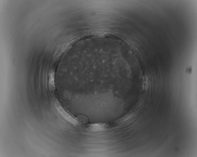 X0000113620238200909251213