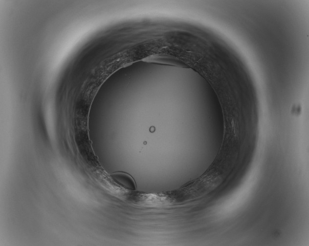 X0000113620239200909251213