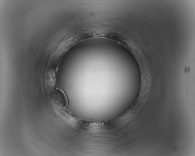 X0000113620240200909251213